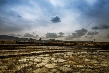 20130501-DSC_6674.jpg
