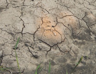 20130514-DSC_7277.jpg
