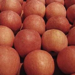 D61CE65D-6BBB-41F9-8AB2-E5B9C84EE1E1/L0/001