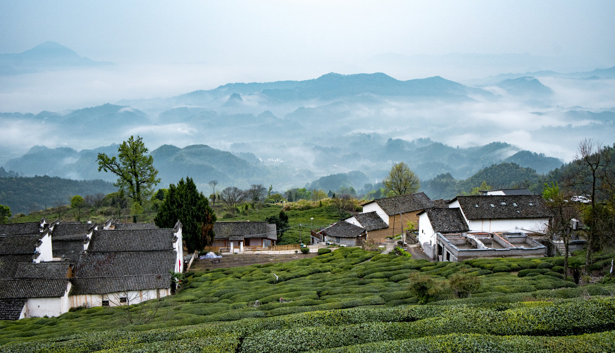 晨起休宁金龙山阡陌交通鸡犬相闻