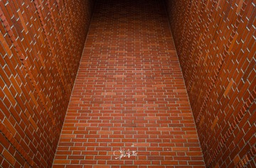 49255
