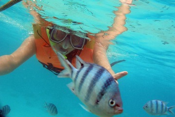 Underwater 04