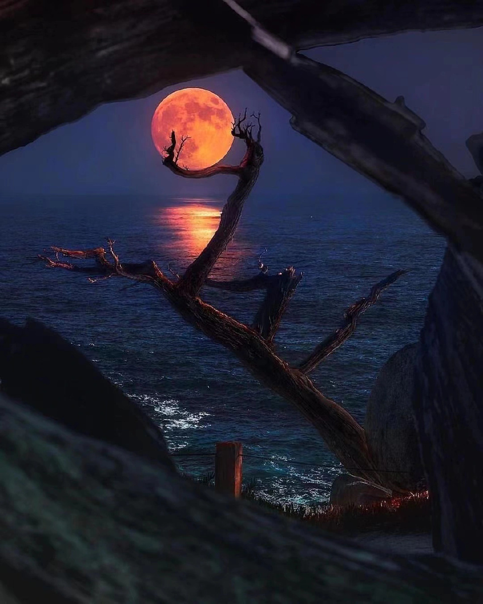 摄影审美月亮融入优胜美地坠落你最喜欢哪