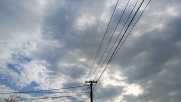 1126