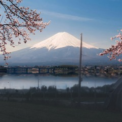 3254
