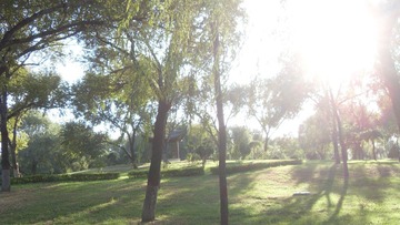 SDC18019.JPG