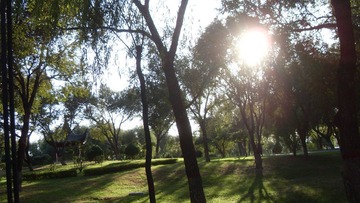SDC18018.JPG