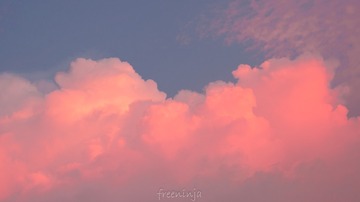 9C2829E3-CA17-417B-BED3-4536378D005A/L0/001