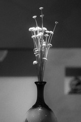 77E38CE1-F52A-46A7-9557-C40E12586150/L0/001