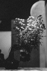 75550642-B7D0-4838-A618-C2DA531BDF95/L0/001