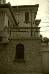 P1010367.JPG