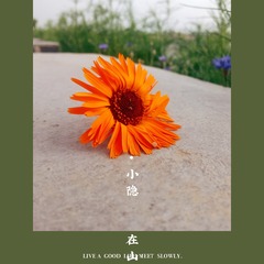 6333
