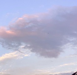 DA7AD1AD-1B9A-40B0-ACF1-77E62B952E58/L0/001