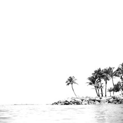 B&W-1-3