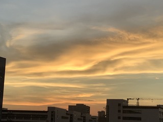 04C062BD-1131-412A-A70E-3B077C1E5356/L0/001