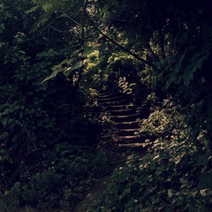 3A77C6F4-DFD1-4098-BB34-FB64AEAF3B21/L0/001