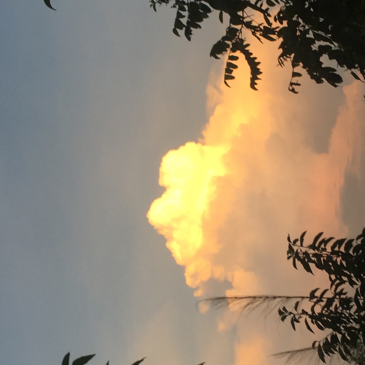 美丽的黄昏云朵