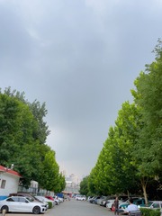 C2312C64-3CB2-4A90-A49C-1EA7DACE0DF4/L0/001