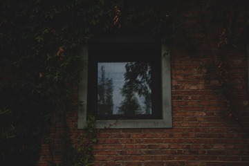 A9BF56F1-5DC4-47E2-9E5B-8960CD39A76E/L0/001