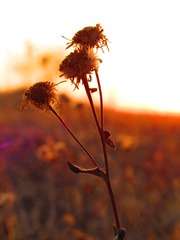 E197A753-D6C2-4671-A7B6-CB60AE1AD43C/L0/001