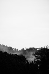 88525D91-C4BA-4216-ADB8-ACD12D296624/L0/001