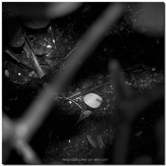 _DSC0160