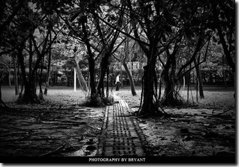 _DSC0253