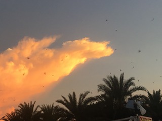02C0C6F7-E880-43C2-A9D3-09C0B6E48E87/L0/001