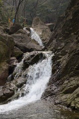 DSC_2585.JPG