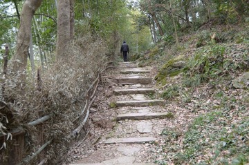DSC_2479.JPG