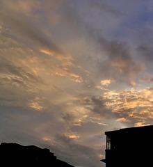 A93E234C-5338-4B82-9B01-CCF333F14440/L0/001