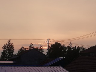 642521