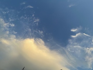 610EF6FA-6599-412B-96BB-B800EF828AAB/L0/001