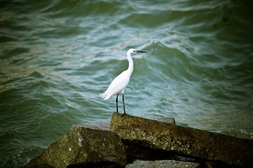 DSC_0621.jpg