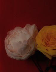 D89C9D21-3DF8-4AA0-988C-6C31C4A5534C/L0/001