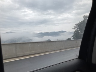 D1C13F09-AEDE-4C74-9E8C-D74FB064077F/L0/001