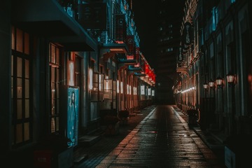 1069561