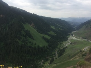 26008