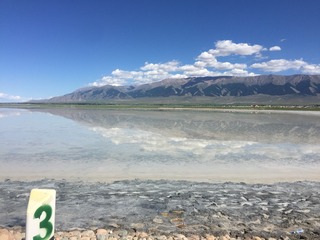 26017