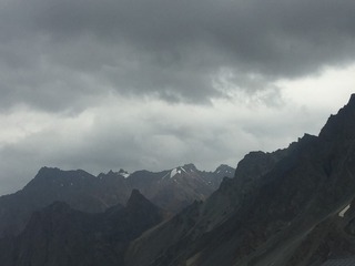 26005