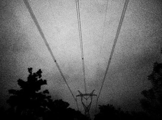 DSCN0311.jpg