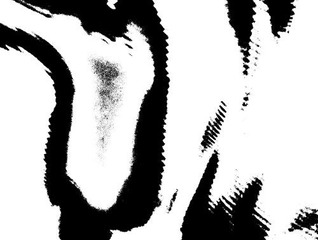 DSCN0454.jpg