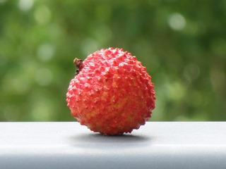 B4ABBBD9-5F7B-40A8-9D70-90261073B9E7/L0/001