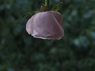 7225405A-C332-4F9A-A991-45ECF6252DFD/L0/001