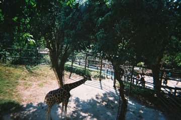 B4DB2812-DF80-4DF8-86B8-126637BEF1DC/L0/001