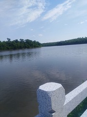 3372135