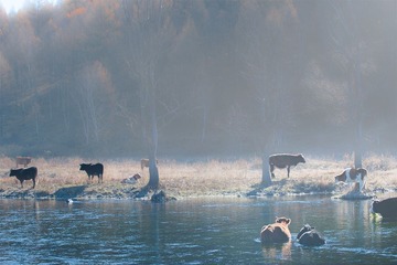 “_DSC0290”为智能对象-1.jpg