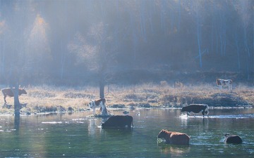 “_DSC0304”为智能对象-1.jpg