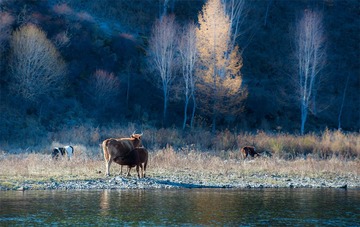 “_DSC0322”为智能对象-1.jpg