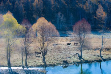 “_DSC0371”为智能对象-1.jpg
